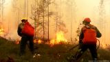 В Якутии тушат 58 лесных пожаров, 18 населенных пунктов в зоне задымления