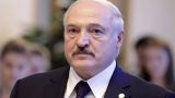 Лукашенко: Участие Белоруссии в конфликте на Украине ничего не даст