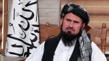 Начштаба «Талибана»*: У нас террористов нет, Пакистану нужно искать их у себя