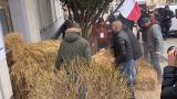 Польские фермеры запечатали соломой офисы политических партий
