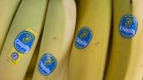 Смотрите, чтобы бананы не пострадали: посол России предупредил власти Эквадора