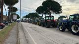 «Нас поставили на колени» — фермеры Италии перекрыли трассы