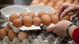 Яйца разогнали инфляцию на Северном Кавказе
