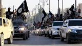 Факторы выживаемости «Исламского государства»
