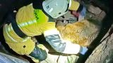В городе Снежное спасатели ДНР вызволили собаку из глубокой ямы