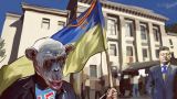 Киев расширил и продлил антироссийские санкции