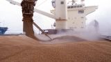 Сирийский министр: Есть указание закупать прежде всего российскую пшеницу
