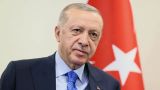 Эрдоган пообещал Турции новую конституцию
