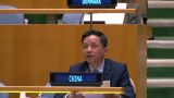 Палестина должна стать полноправным членом ООН — КНР