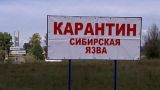 Сибирская язва скорректировала работу «дочки» «Газпром нефти»