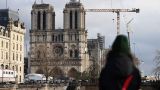 В Париже задержан египтянин, планировавший напасть на Нотр-Дам
