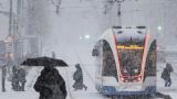 Синоптики предупредили москвичей о вероятности апрельских снегопадов