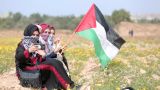Ирландия намерена признать палестинское государство