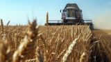 Тайвань открыл свой рынок зерна для Литовской Республики