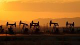 СМИ Индии: поставки нефти из России достигли рекорда последних 9 месяцев