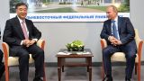 Путин встретился во Владивостоке с вице-премьером Госсовета Китая