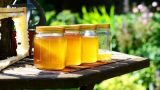 Не жизнь, а мед: подсчитано, сколько сладкого продукта в год едят россияне