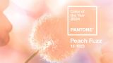 Pantone объявил главный цвет 2024 года