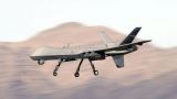 США построят в Нигере базу дронов для борьбы с боевиками-исламистами
