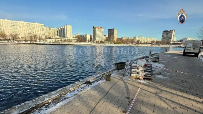 В московском пруд нашли рюкзак с останками подростка