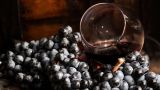 В Испании злоумышленник разлил 60 тысяч литров элитного вина