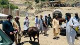 В Афганистане число заболеваний конго-крымской лихорадкой выросло на 38%