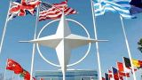 Швеция не подавала заявку на вступление в НАТО: реакция на заявление Лаврова