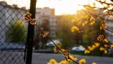 Нарва едва не угорела: газ плохо уходил из-за жары