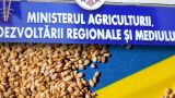 Власти Молдавии подставляют своих аграриев, чтобы не портить отношения с Киевом
