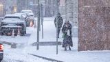 Гидрометцентр пообещал москвичам снег и гололед 29 ноября