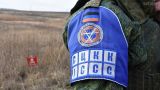 Захват пленного в ЛНР усугубляет обстановку на линии соприкосновения — Грызлов