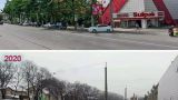 Экоскандал в Алма-Ате: вырубили здоровые старые деревья