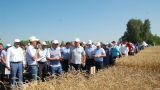 Больше миллиона тонн: в Татарстане недобрали урожая зерна на 26%