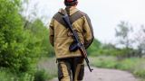 «У них больше оружия, у нас больше правды»: с кем воюют ополченцы Донбасса