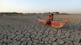Беда не приходит одна: Ирак столкнулся с засухой