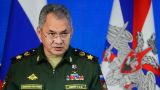 Шойгу: На западных рубежах России будет создано 20 новых воинских соединений