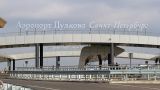 В аэропорту Пулково задержали 24 лягушки из Германии