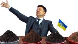 «ЗЕ-мля в иллюминаторе»: Кража земли размером в два Крыма и новые паны Украины