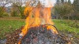Российских дачников ждут осенние штрафы за сжигание листвы и веток — эксперт