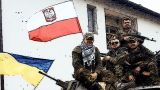 В ЛНР рассказали о растущем напряжении между польскими и украинскими боевиками