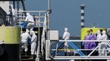 ВОЗ: Признаков масштабной вспышки хантавируса пока нет