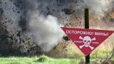 Минобороны Украины назвало число погибших мирных граждан от мин на Донбассе