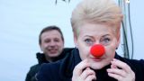 За 10 лет президент Литвы наплодила стяжателей и махинаторов: мнение