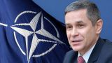 Носатый: Молдавия напрямую от НАТО узнает о делах в регионе, мы в безопасности