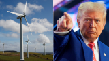 Трамп — Великобритании: Уберите ветряные мельницы, нефть и газ ждут вас