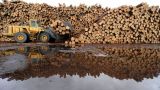 В Финляндии возмутились предложением Патрушева ввести ограничения на торговлю лесом