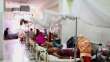 Бангладеш поразила небывалая вспышка заболевания: лихорадка денге косит людей