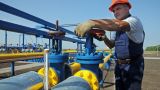 В Киеве допустили прямые поставки газа на Украину из России
