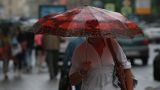 В районах Петербурга выпало более половины месячной нормы осадков