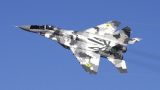Над Украиной сбили МиГ-29 и 10 дронов